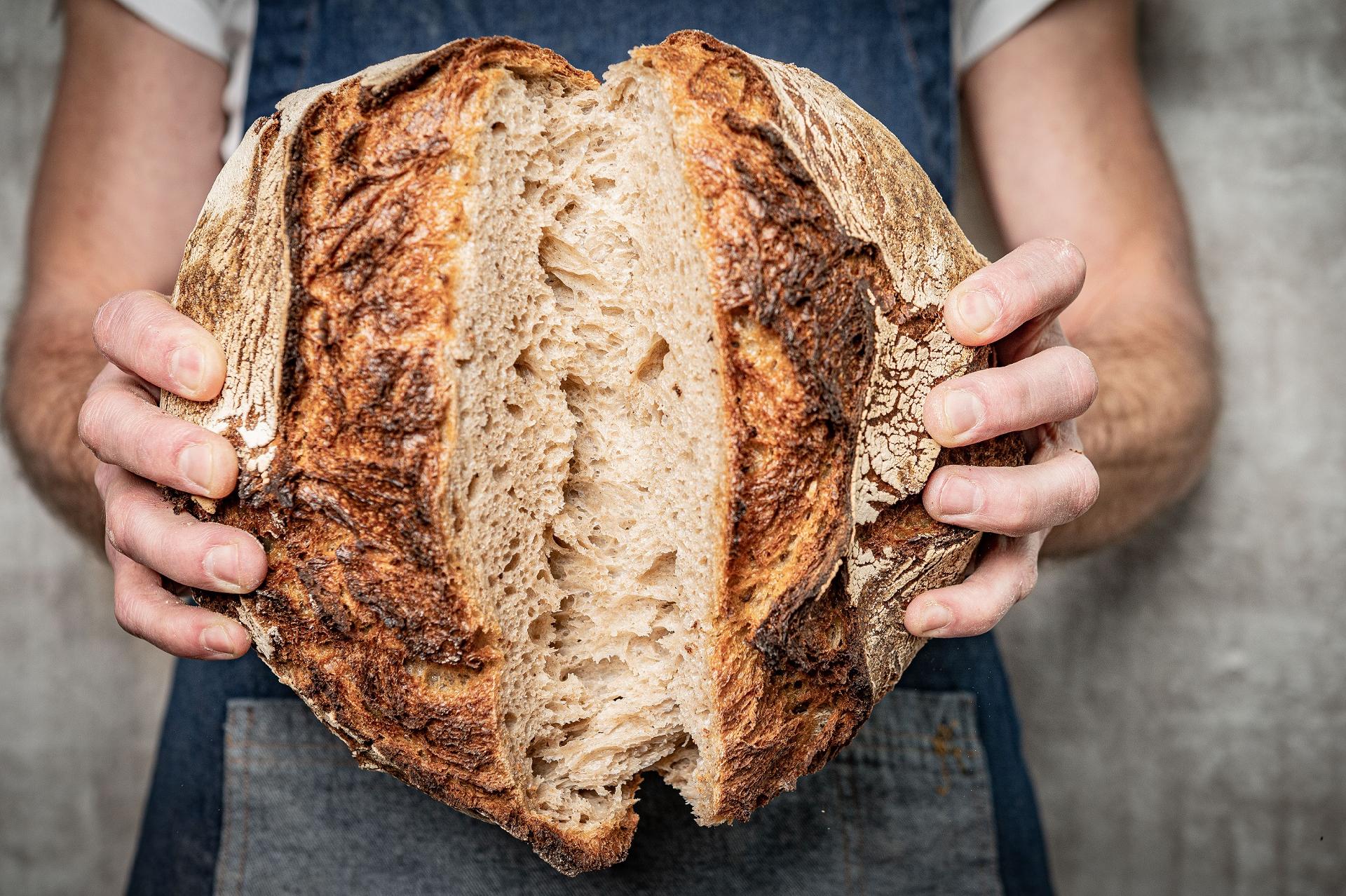 Fresh torn sourdough loaf at a bakery
