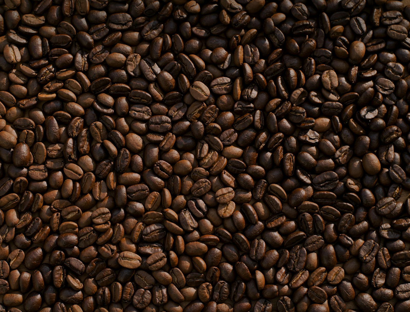 Freshly roasted coffee beans at the Hartley's coffee counter